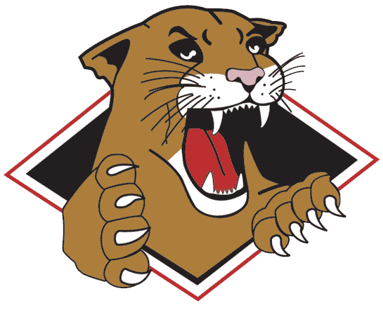 Prince George Cougars 2002-2008 Primary Logo iron on transfers for T-shirts
